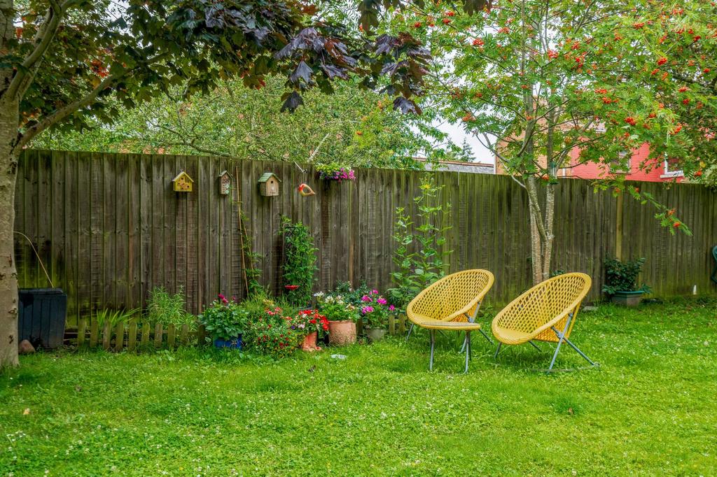 Garden view, garden