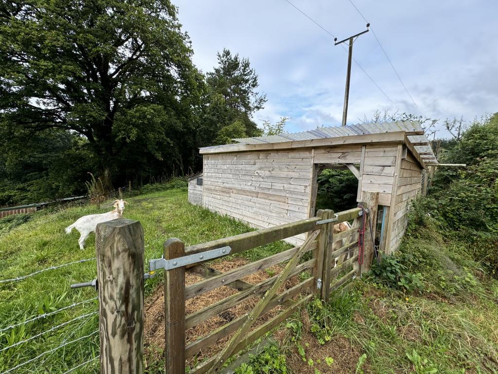 Goat Shed