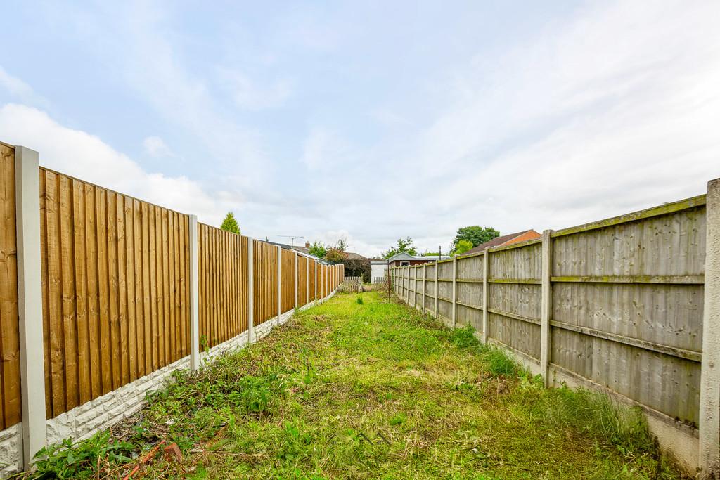 Back garden