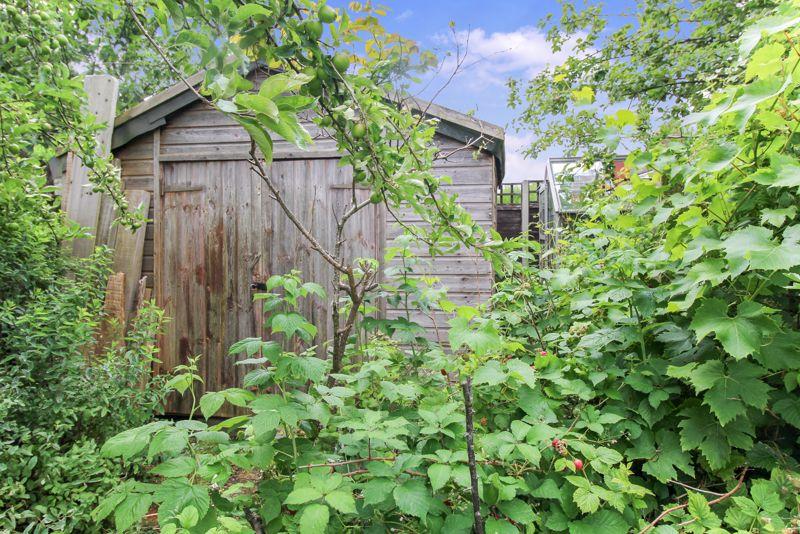 SHED & GREENHOUSE