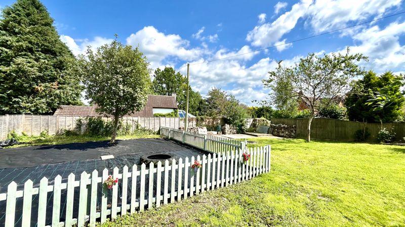 Vegetable Garden