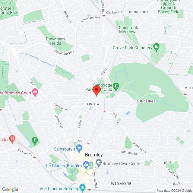 Google Maps Image