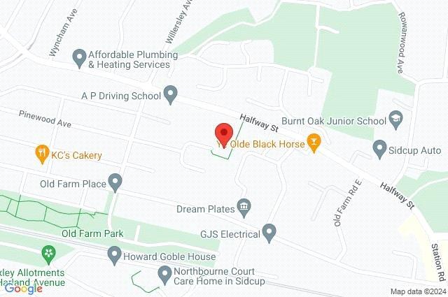 Google Maps Image