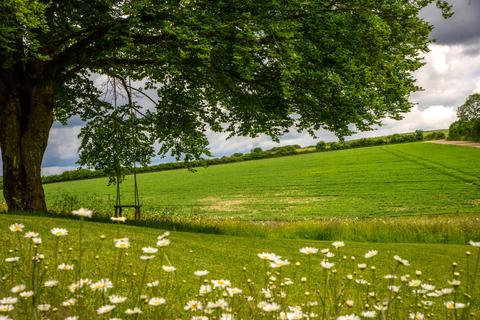 undefined, Ditcham, Petersfield, Hampshire, GU31