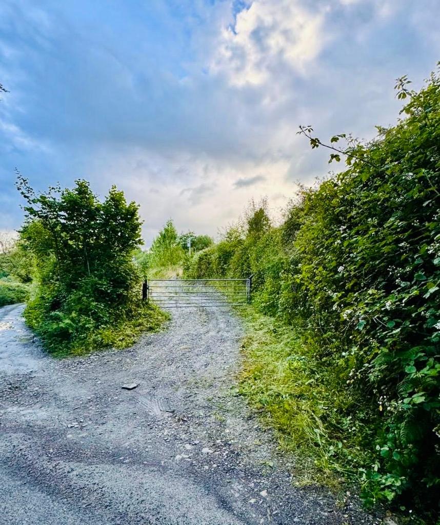 Entrance to the yard area