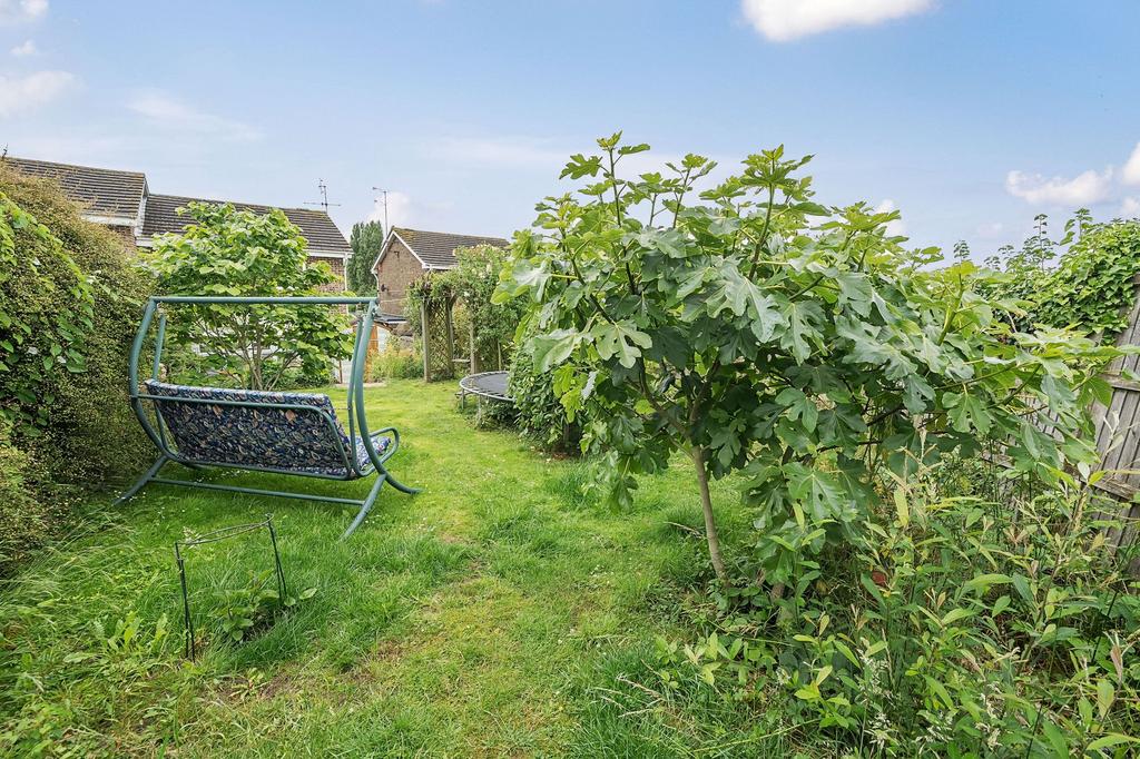 Garden (7)