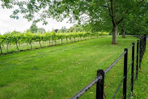 Farm land for sale, Ancre Hill Vineyard (Lot 1), Ancre Hill, Monmouth