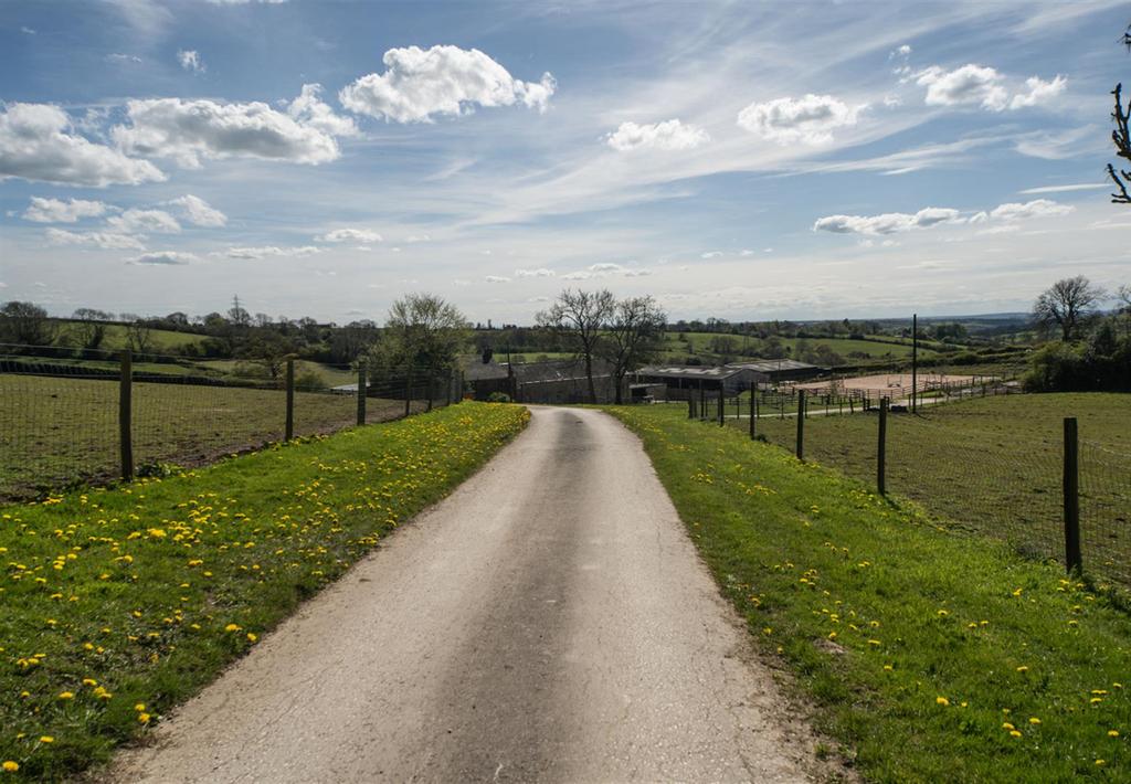Driveway.png