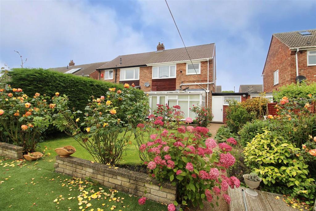 Rear Gardens