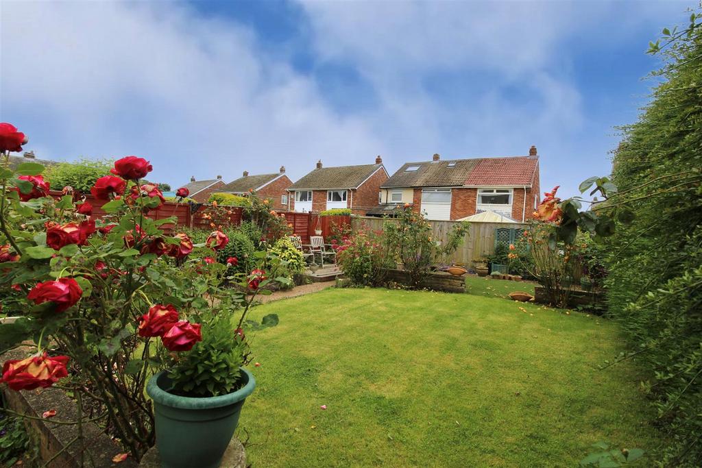Rear Gardens