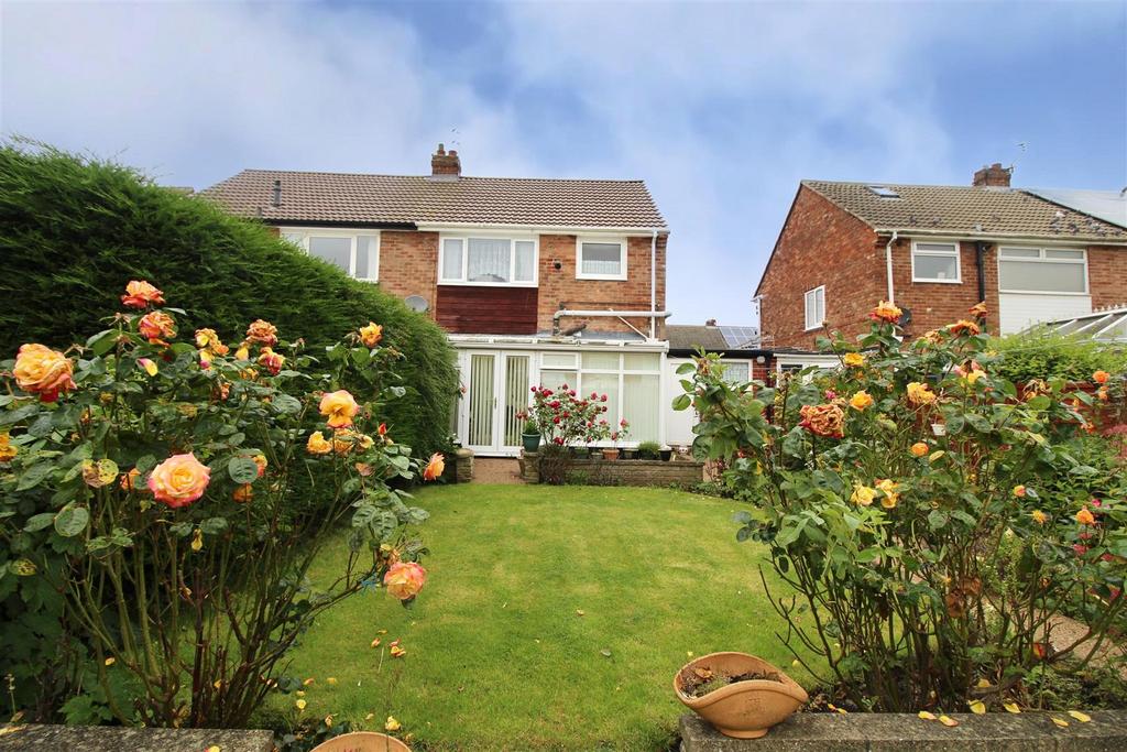 Rear Gardens