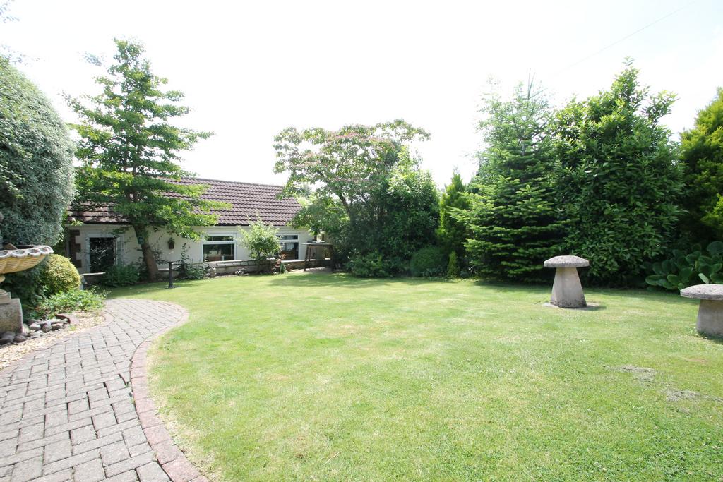 Lower garden
