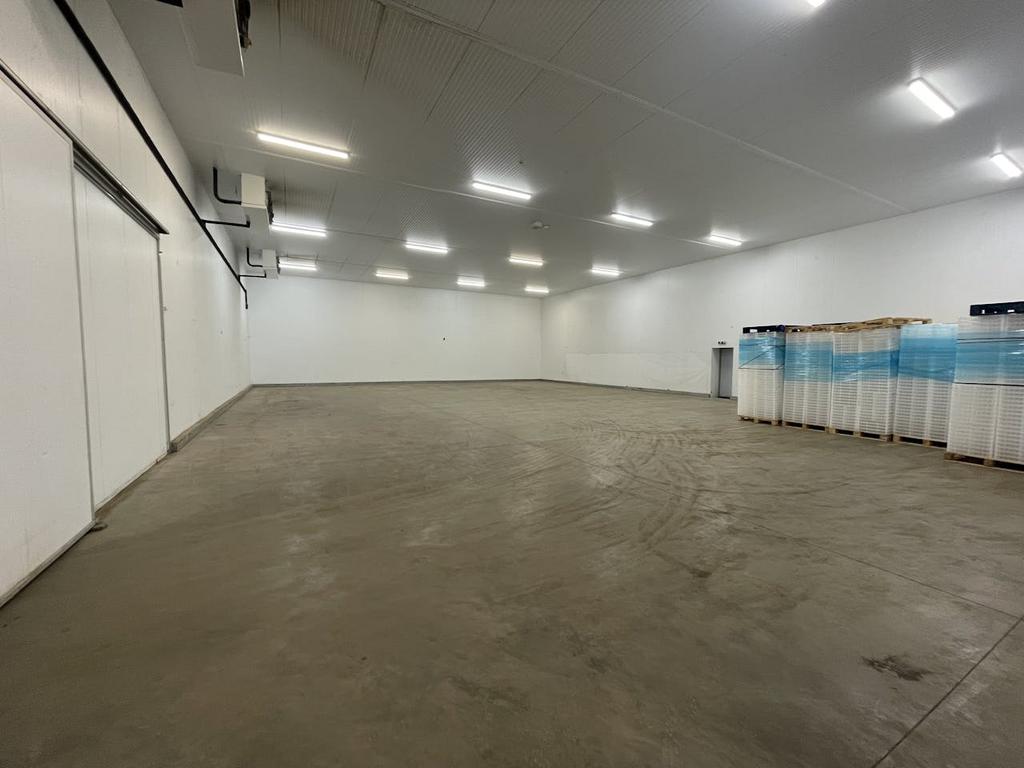 IMG 0676.jpg