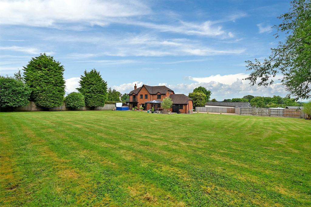 Rear Gardens