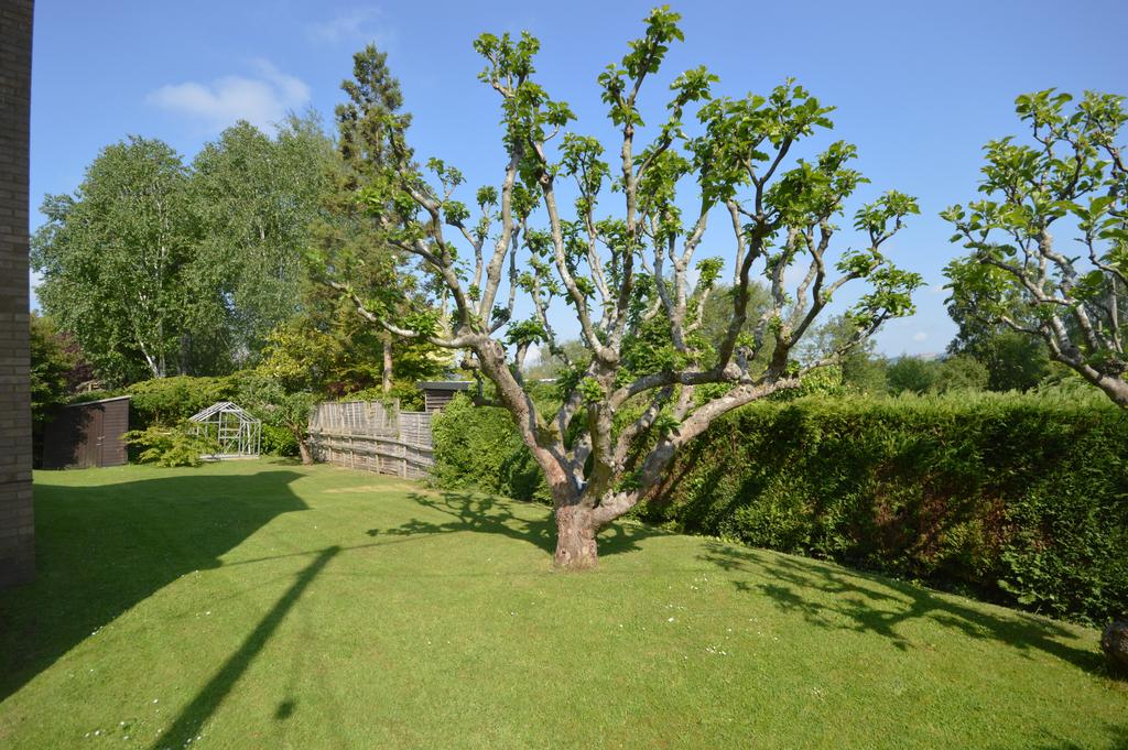 Side garden