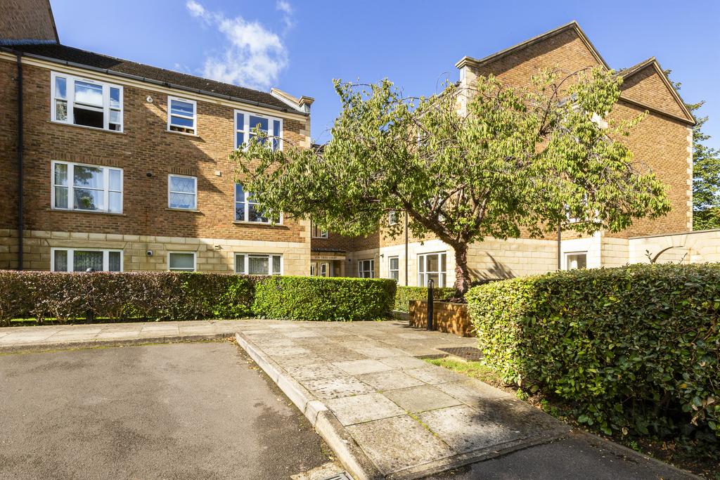 Yew tree 9 (12)