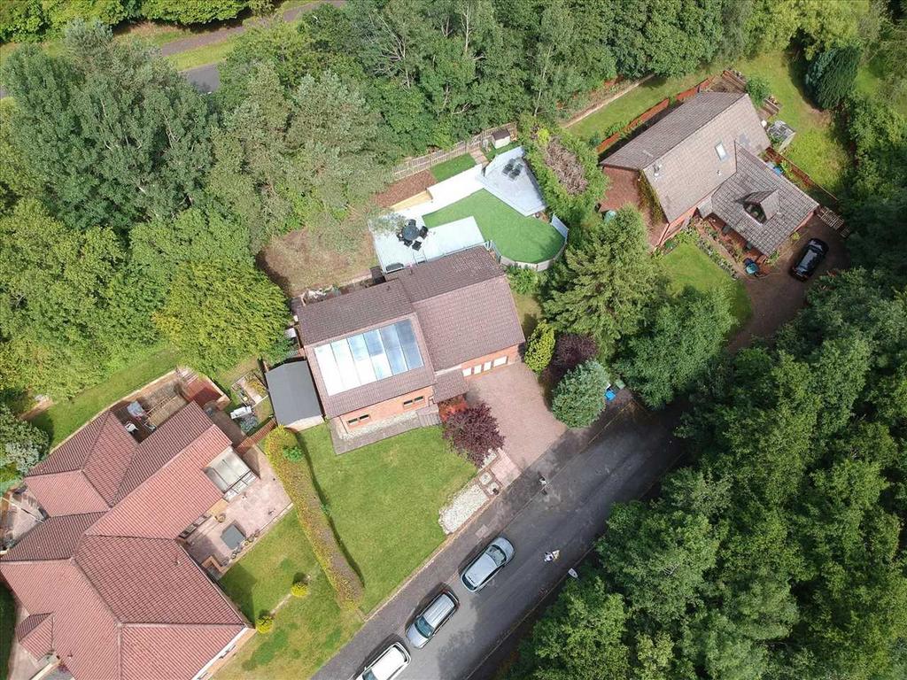 Aerial Shot