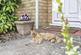 Additional image 15 of Dashwood Avenue, Yarnton, OX5
