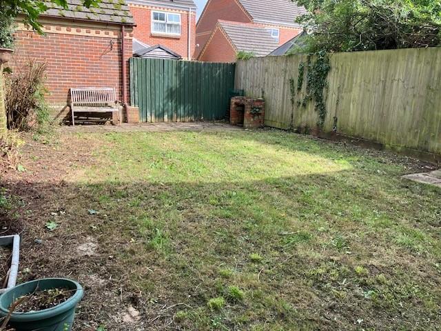 Garden 3.jpg