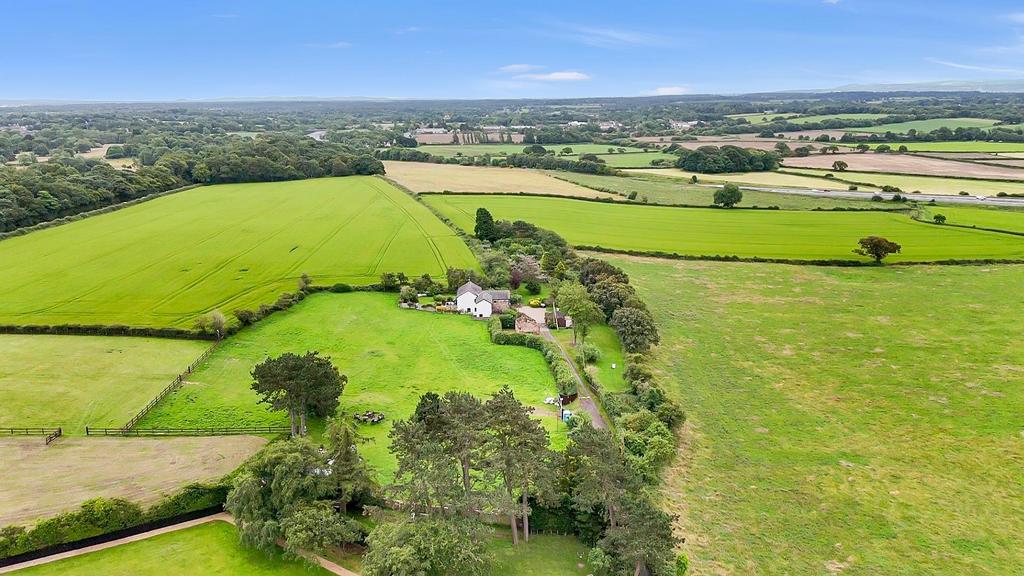 Dji fly 20240703 125705 0 1720007825138 photo low 