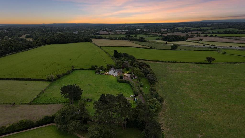 Dji fly 20240703 125705 0 1720007825138 photo low 