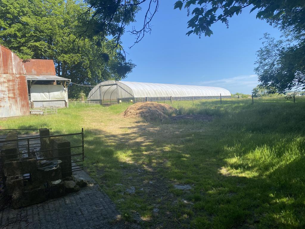 Polytunnel