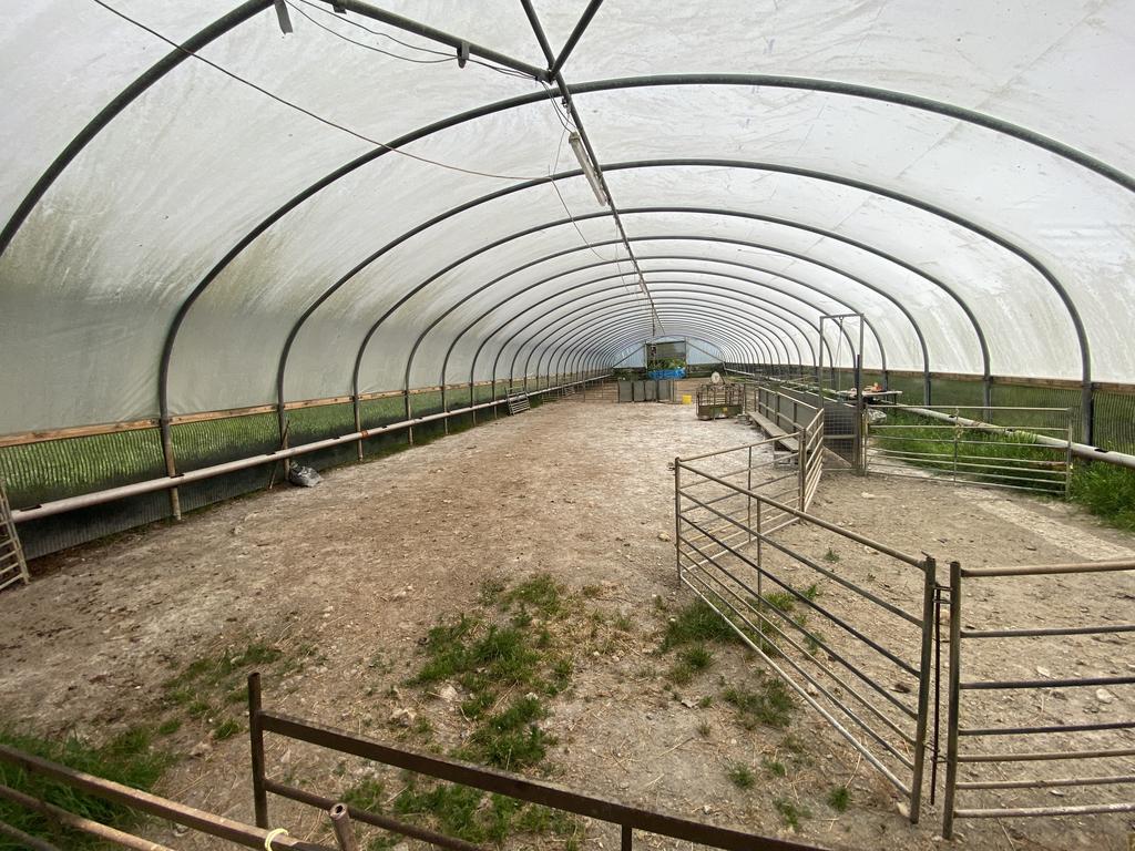 Polytunnel