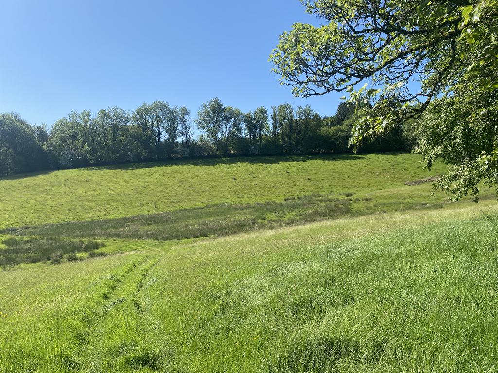 Fields below yard
