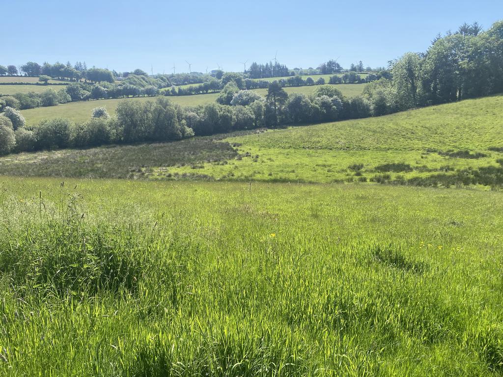 Land to East side