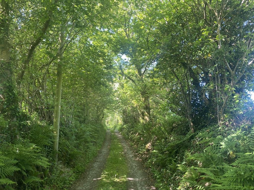 Farm Lane