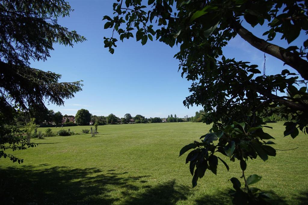 View.JPG