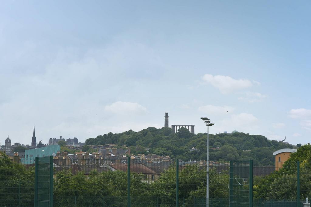 MFL1233382 544.jpg