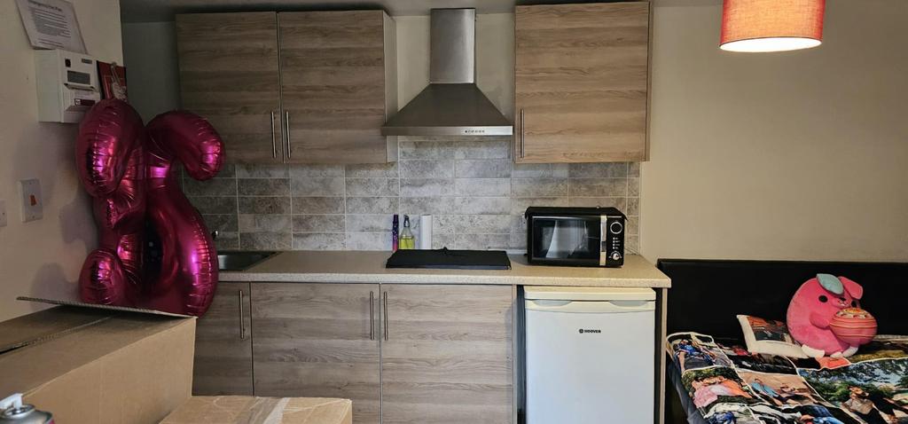 Studio Flat To Rent - 35 Crawley Road
