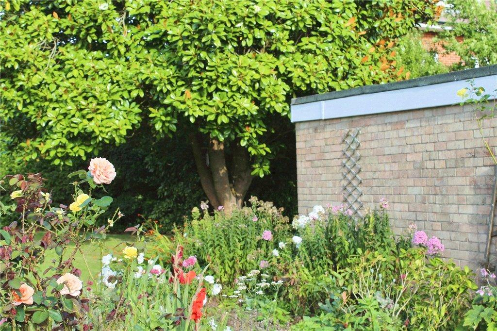 Communal Garden Area