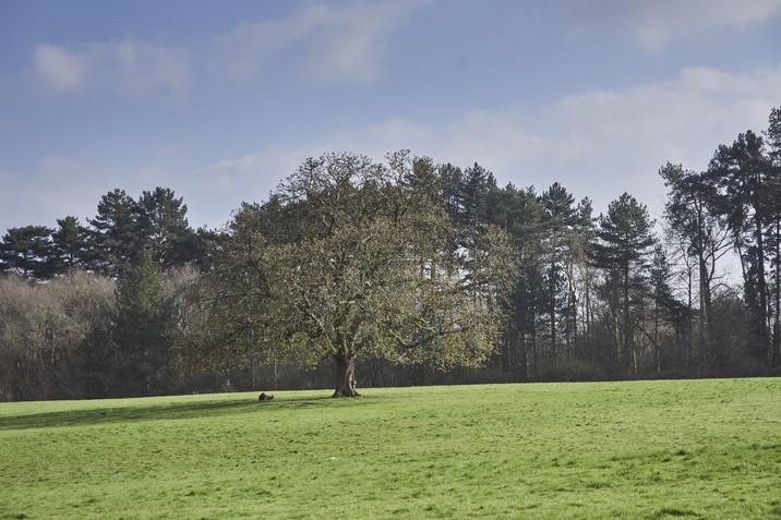 Vb5112143  DSC3071 716x515