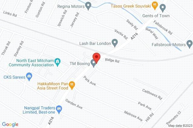 Google Maps Image