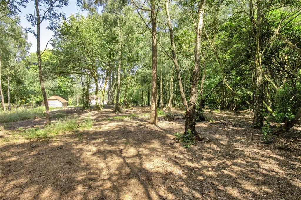 Woodland
