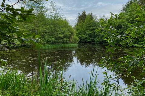 Woodland for sale, Forest of Ae , Dumfries DG3