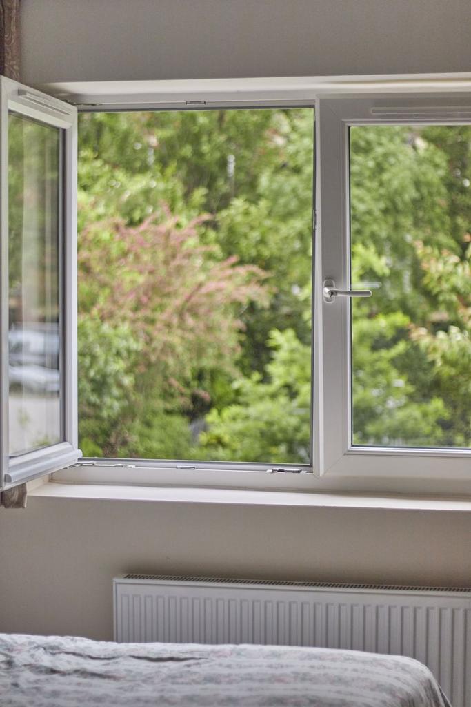 Bedroom Window