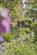 Additional image 11 of Buckerell Avenue, St Leonards, Exeter