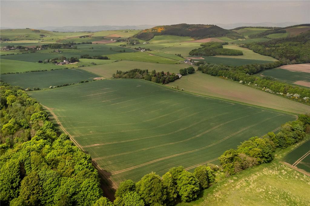 Ayton Farmland