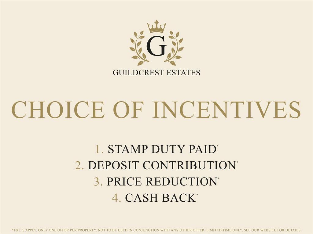 Choice of Incentives.jpg