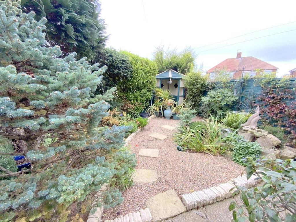 Resized IMG 8490.jpg