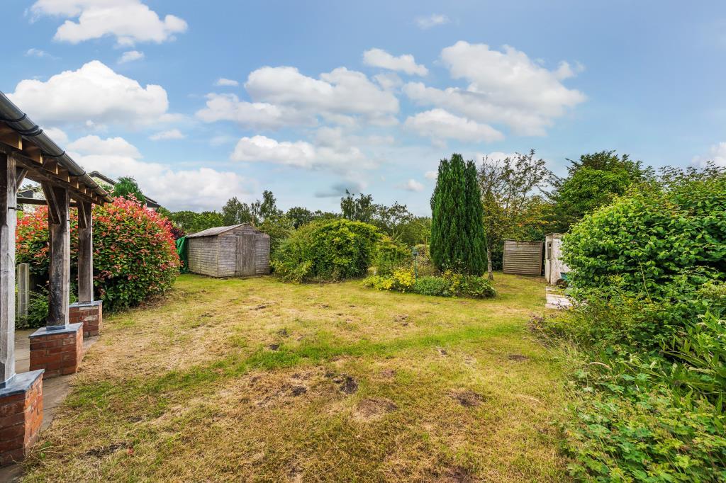 Photos