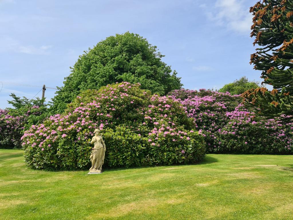 Ample Gardens