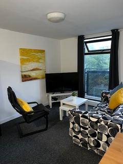 1 bedroom in a flat share to rent, Infirmary Road, Sheffield S6