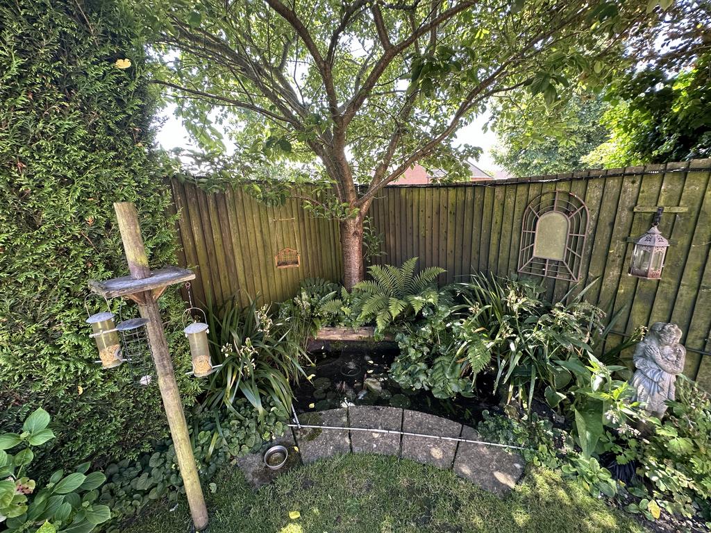 Garden 3.JPG