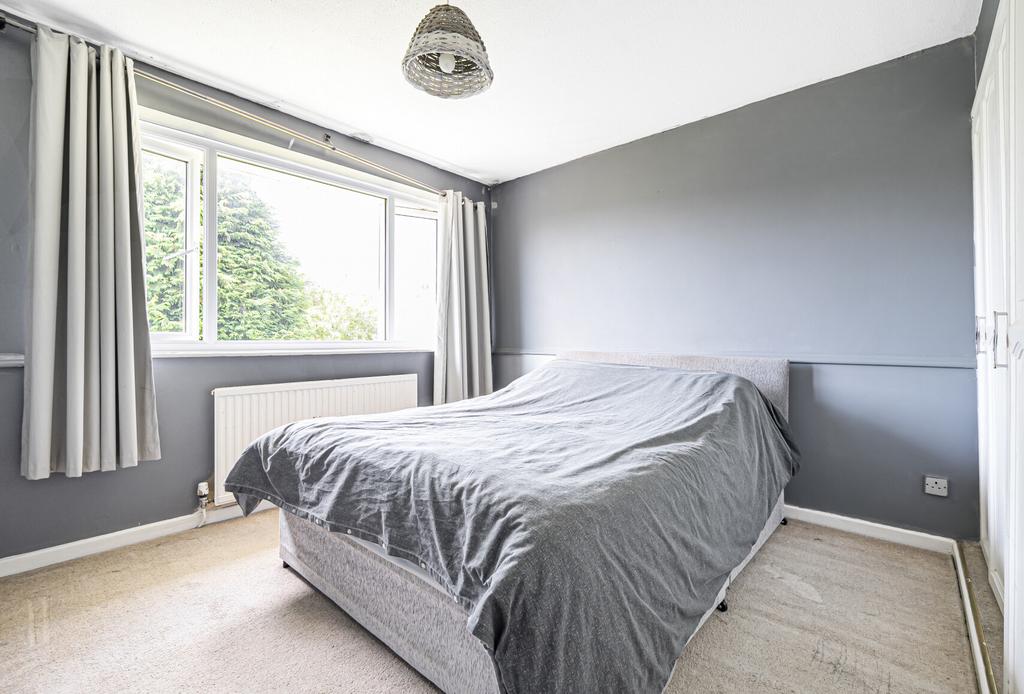 1157995 (6).jpg