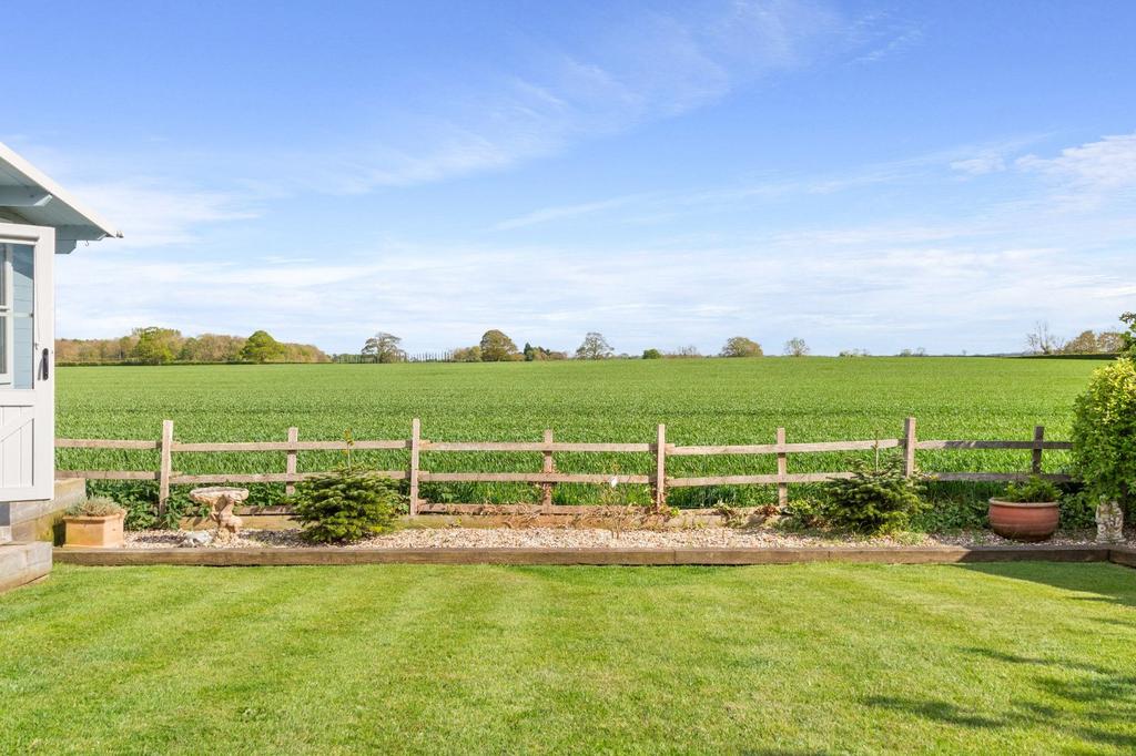 Lawn Area