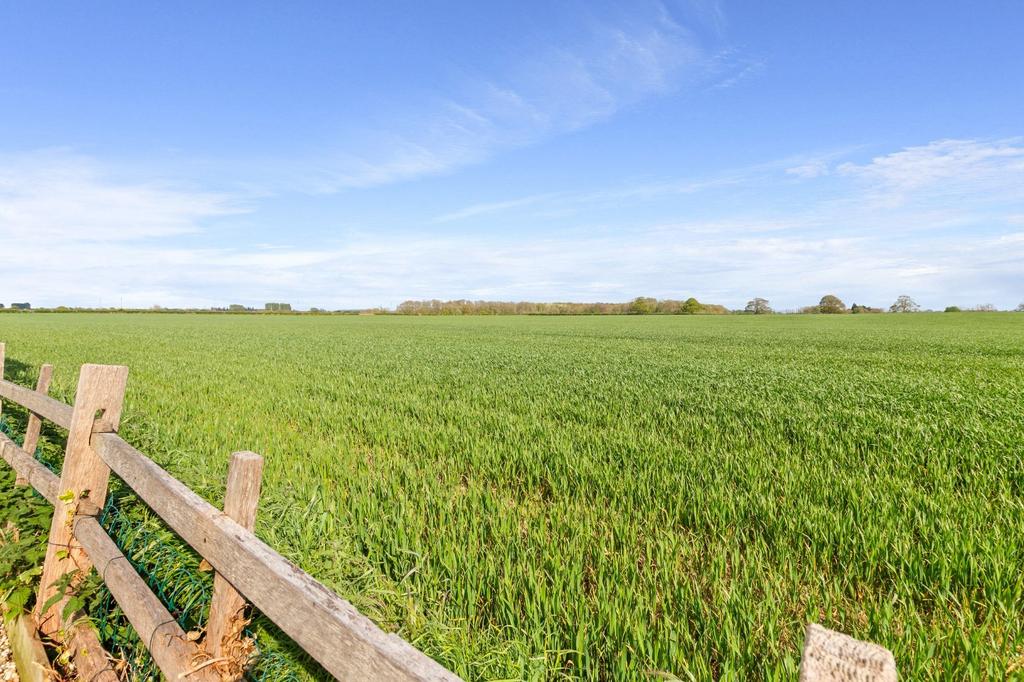 Field Views